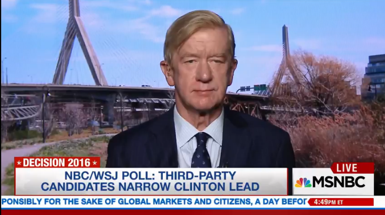 William Weld, MSNBC